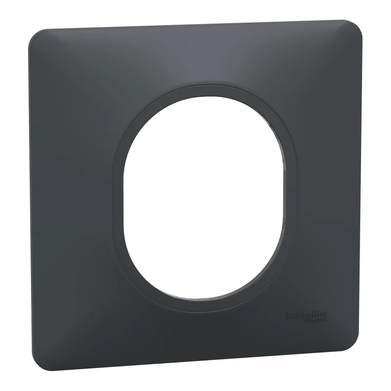 Plaque de finition 1 poste aluminium - Ovalis SCHNEIDER ELECTRIC Prix Cassé