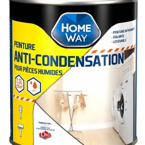 Peinture anti-condensation - Blanc - 2.5 L HOMEWAY Expédition Rapide