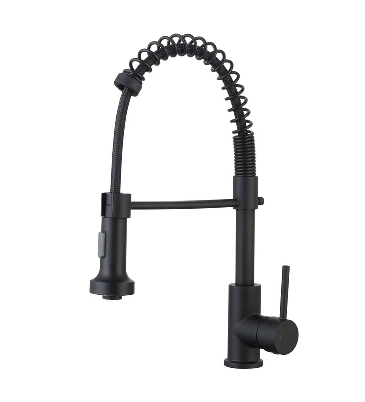 Quantité Limitée Robinet de cuisine avec douchette Noir Plimo - ESSEBAGNO