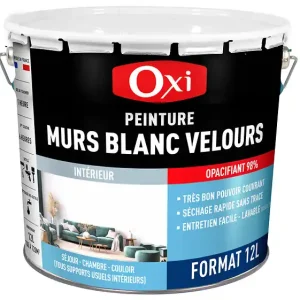 Vente Directe Peinture mur intérieur velours - Blanc - 12L OXI