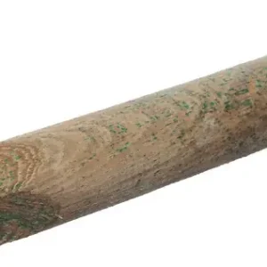 Remise Tuteur en pin - 200x5cm - Traité autoclave vert CERLAND