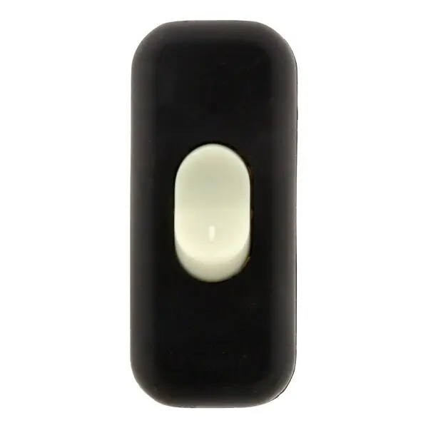 Interrupteur 2A Unipolaire Luminescent - Noir - Zenitech Expédié Aujourd'hui