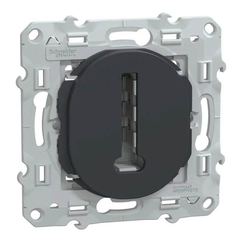 Prise téléphone anthracite Ovalis SCHNEIDER ELECTRIC Achetez Aujourd'hui