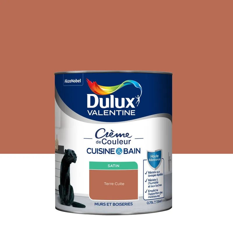 Seulement Aujourd'hui Peinture Crème de Couleur Cuisine et Bain Satin Terre Cuite 0,75 L