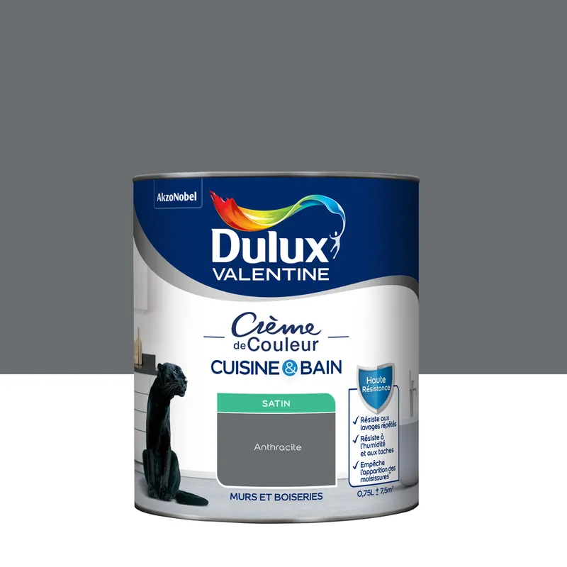 Peinture Crème de Couleur Cuisine et Bain Satin Anthracite 0,75 L Achat Immédiat