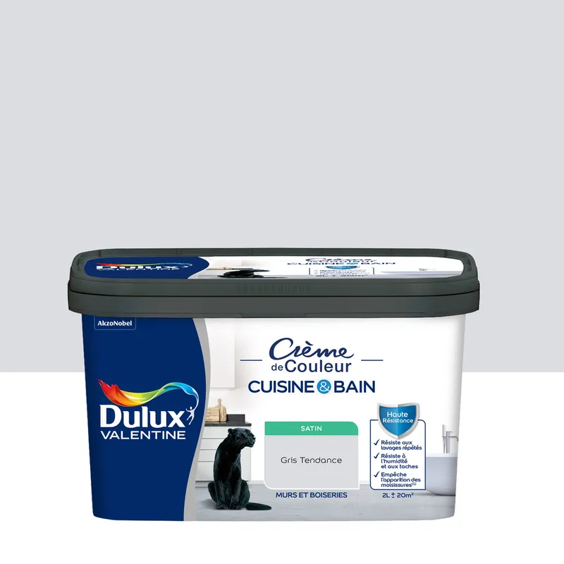 Peinture Crème de Couleur Cuisine et Bain Satin Gris Tendance 2 L Vente Flash