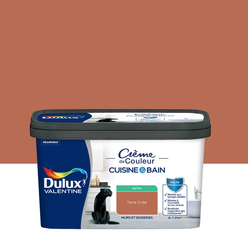 Peinture Crème de Couleur Cuisine et Bain Satin Terre Cuite 2 L Prix Cassé