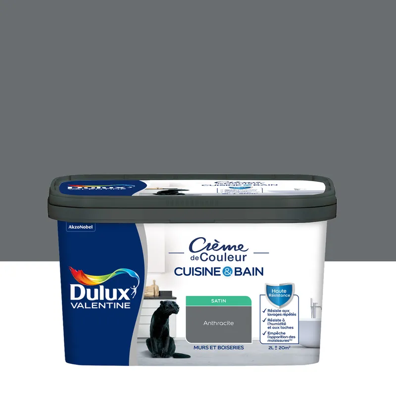 Offre Limitée Peinture Crème de Couleur Cuisine et Bain Satin Anthracite 2 L