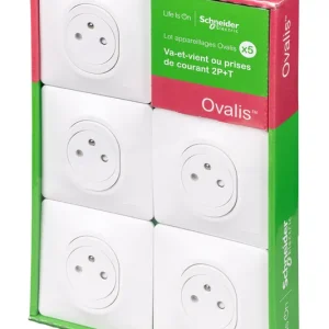 5 prises affleurantes 2P+T complètes blanc - Ovalis SCHNEIDER ELECTRIC Solde