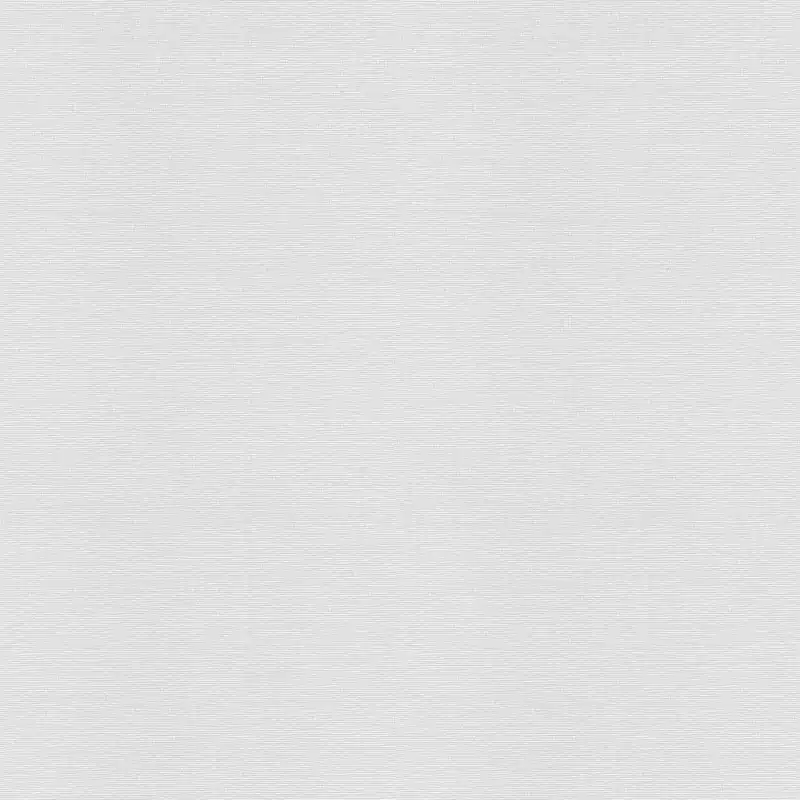Solde Papier à peindre intissé toile fine Blanc 25 m x 1.06 m AS CREATION