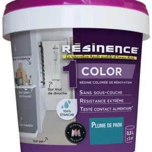 Résine de rénovation COLOR plume paon 500 ml RESINENCE Livraison Express