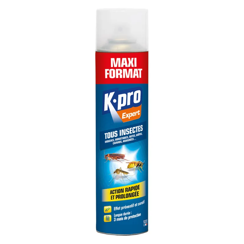Insecticide insectes volants et rampants aérosol 600 ml - K-PRO Dernière Chance