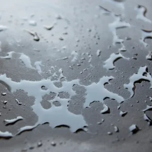 Expédition Rapide Imperméabilisant pour façade, sol et toit 1 l by DIP ETANCH - RIPOLIN