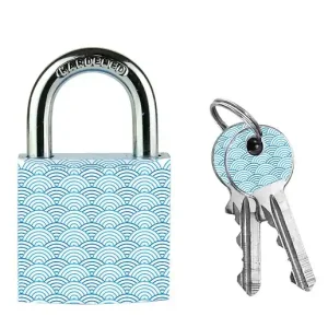 Cadenas en métal massif 30mm - 2 clés personnalisées - motif imprimé MASTER LOCK Acheter Direct