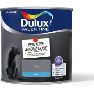 Populaire Peinture effet magnétique gris mat 500 ml - DULUX VALENTINE