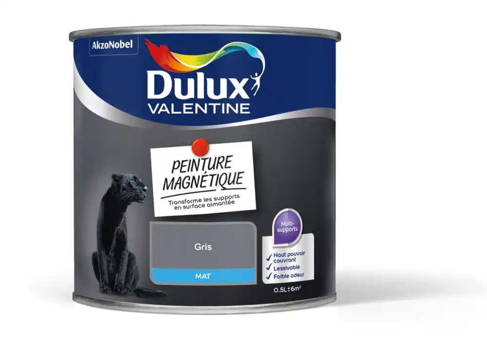 Populaire Peinture effet magnétique gris mat 500 ml - DULUX VALENTINE