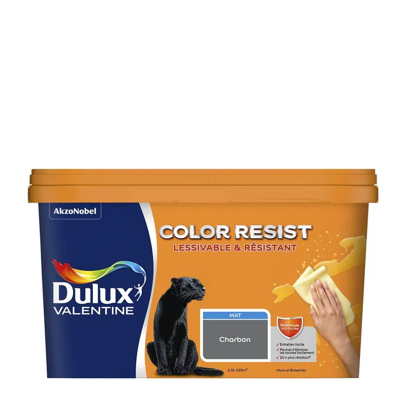 Promotion Saisonnière Peinture Color Resist murs et boiseries Charbon mat 2,5 l - DULUX VALENTINE