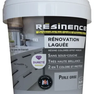 Résine de Rénovation Laquée perle grise 250 ml RESINENCE Top Vente