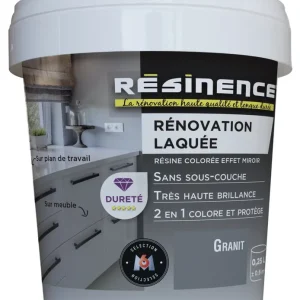Résine de Rénovation Laquée granit 250 ml RESINENCE Prix Choc