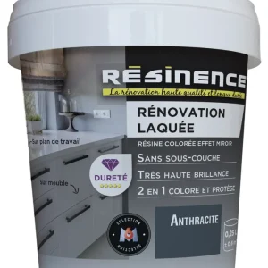 Résine de Rénovation Laquée anthracite 250 ml RESINENCE Expédié Aujourd'hui
