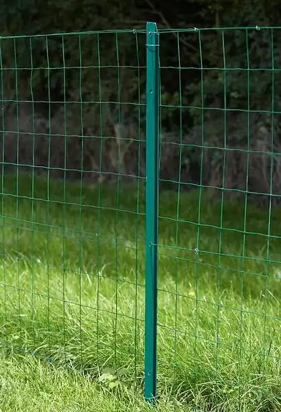 Solde Poteau en T acier plastifié vert - H.1.75m DIRICKX