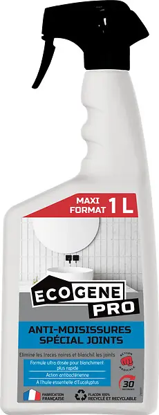 Commander Vite Anti-moisissures prêt à l‘emploi - Formule concentrée - 1L ECOGENE