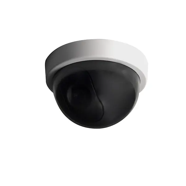 Livraison Express Caméra factice dôme - Blanc - LED bleue - Intérieur CHACON