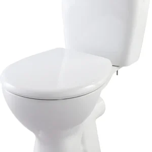 WC à poser sans bride NF Noeli - GODART Dernier Modèle