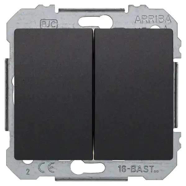 SIEMENS Double Poussoir Anthracite Delta IRIS Authentique