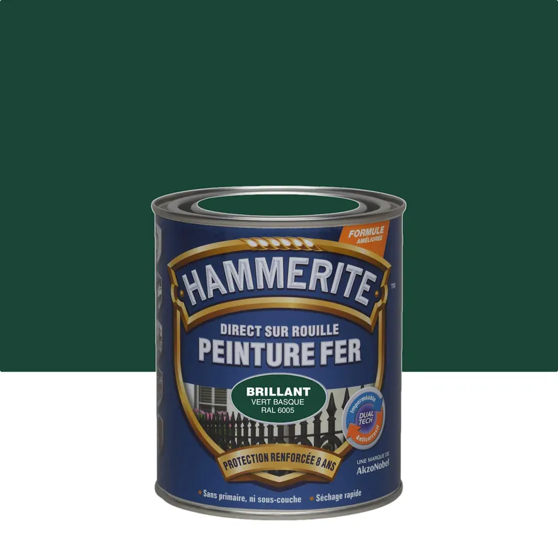 Prix Choc Peinture fer extérieur direct sur rouille Finition vert basque RAL 6005 Brillant 750ML - HAMMERITE