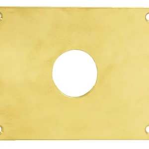 Plaque de propreté trou rond 30 laiton poli 90x65mm - HERACLES - 251752-TR30 Pas Cher
