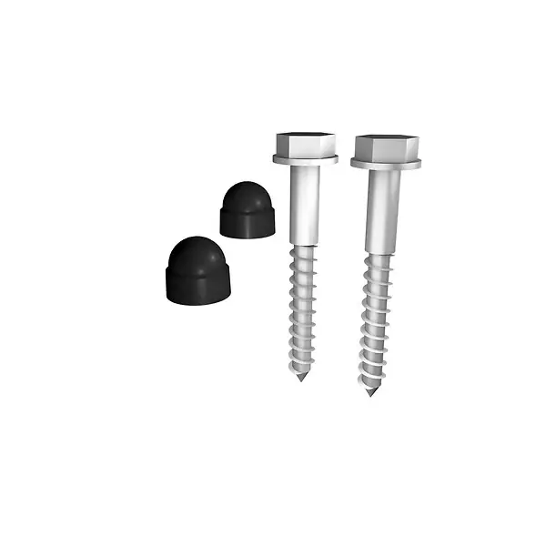TIREFONDS Ø10x80 SOL BOIS, 2 PIECES INOX A2 + 2 BOUCHONS BLACK BURGER Offre Spéciale