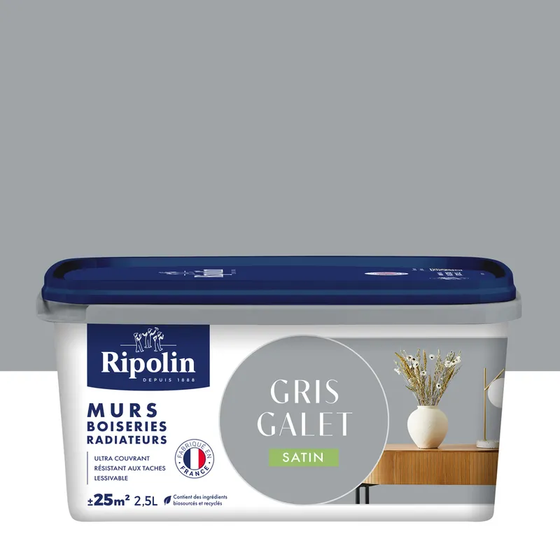 Peinture murs, boiseries et radiateurs gris galet satin 2,5L RIPOLIN Réduction