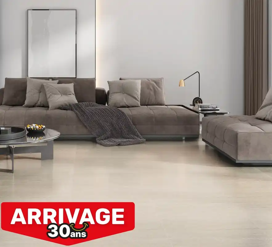 Carrelage de sol intérieur effet pierre avorio PILAT 60 x 60 cm paquet de 1,08 m² CERAM INDUSTRIE Prix Choc