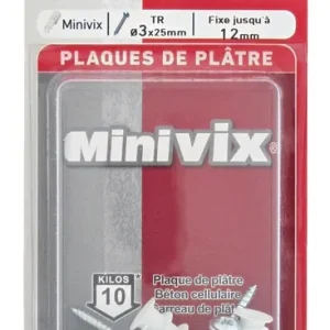 Chevilles autoforeuses Minivix et vis tr 3 x 25 mm par 10 RED HEAD Offre Exclusive