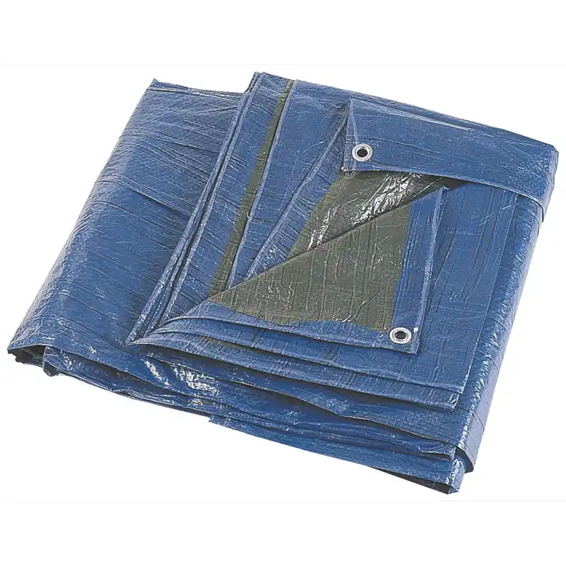 Seulement Aujourd'hui Bâche plastique bleu 3x5m 68g/m² RONDY
