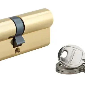 Cylindre SA 40x40mm laitonné 3 clés THIRARD Promotion Saisonnière