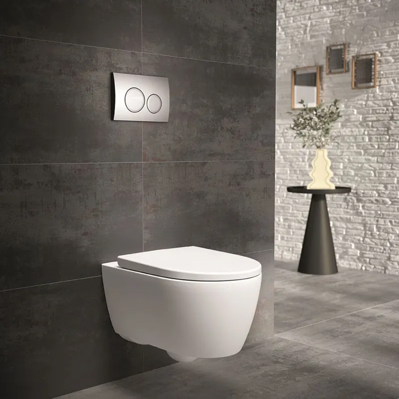 Dernier Modèle Pack WC suspendu sans bride G-600 Pure Mat V2 - GEBERIT