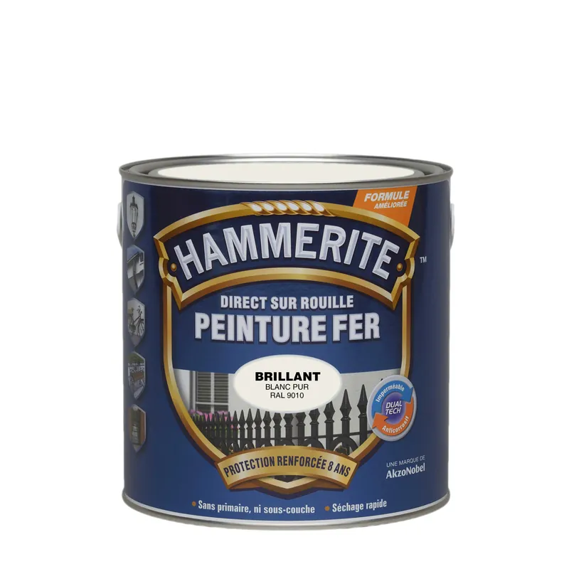 Peinture fer extérieur direct sur rouille Brillant Blanc Pur 2.5 litres HAMMERITE Top Vente