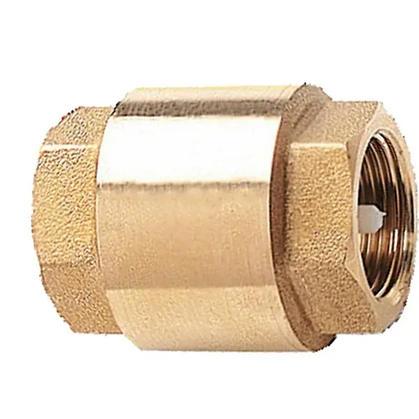 Clapet de retenue universel 3/4 12 bars - 105-20 HANGER Offre Limitée