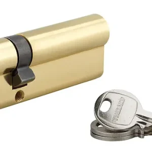 Expédition Rapide Cylindre SA 30x60mm laitonné 3 clés THIRARD
