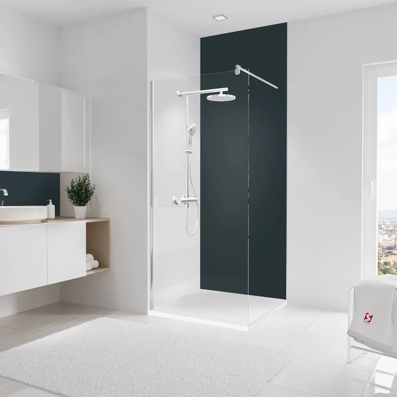 Meilleur Prix Panneau mural de douche 90x255 cm anthracite DécoDesign Couleur - SCHULTE