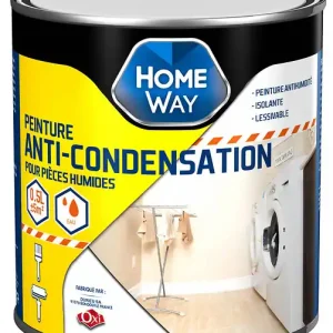 Peinture anti-condensation Blanc 0,5L HOMEWAY Commande En Gros