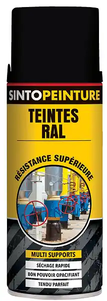 Bon Plan Aérosol noir mat RAL9005 400ml peinture de maintenance - SINTO - 920365