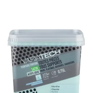 Dernier Modèle Peinture multi-supports satin - Menthe glacée - 0.75L VARIATECH