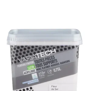 Peinture multi-supports satin Fleur de sel - 0,75L VARIATECH Commander Vite