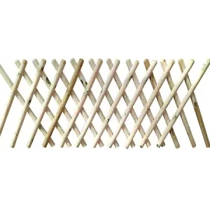Clôture croisée en pin sylvestre - Vert - H.100xL.250cm CERLAND Prix Cassé