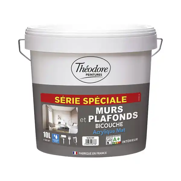 Must-Have Peinture acrylique bicouche murs et plafonds - Blanc - 10L THEODORE PEINTURES