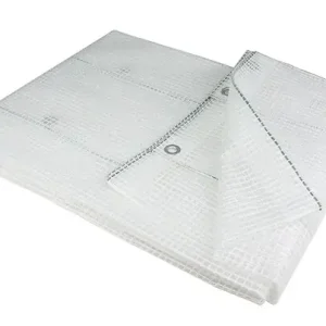 Prix Réduit Bâche armée transparente 4x5m avec œillets - L.4xl.5m FISCHER DAREX