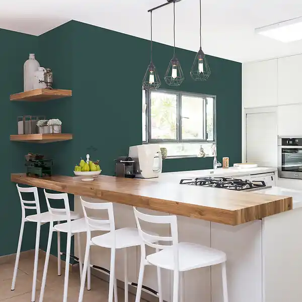 Nouveauté Peinture cuisine et bain - Vert Armerie - 0,75L RIPOLIN